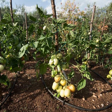 הוילה Vinišće Kuca Za Odmor Pecilovo מראה חיצוני תמונה