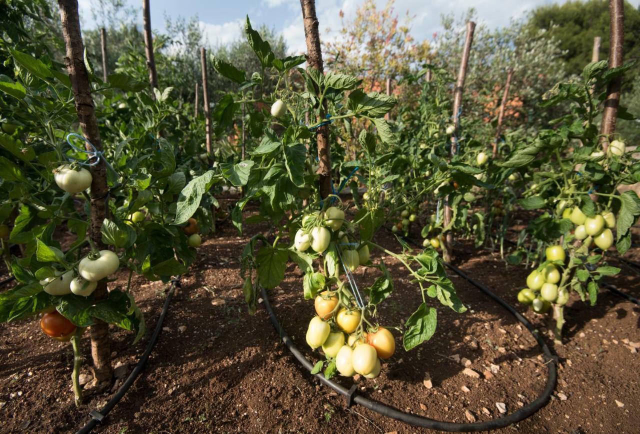 הוילה Vinišće Kuca Za Odmor Pecilovo מראה חיצוני תמונה